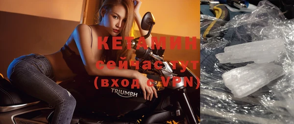 шишки Кемь