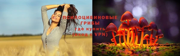 Альфа ПВП Инта