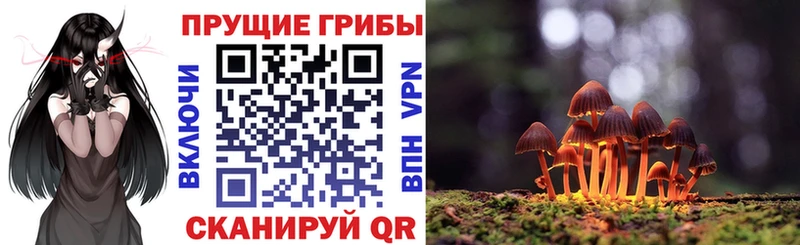 Псилоцибиновые грибы мицелий  даркнет сайт  Спас-Деменск 